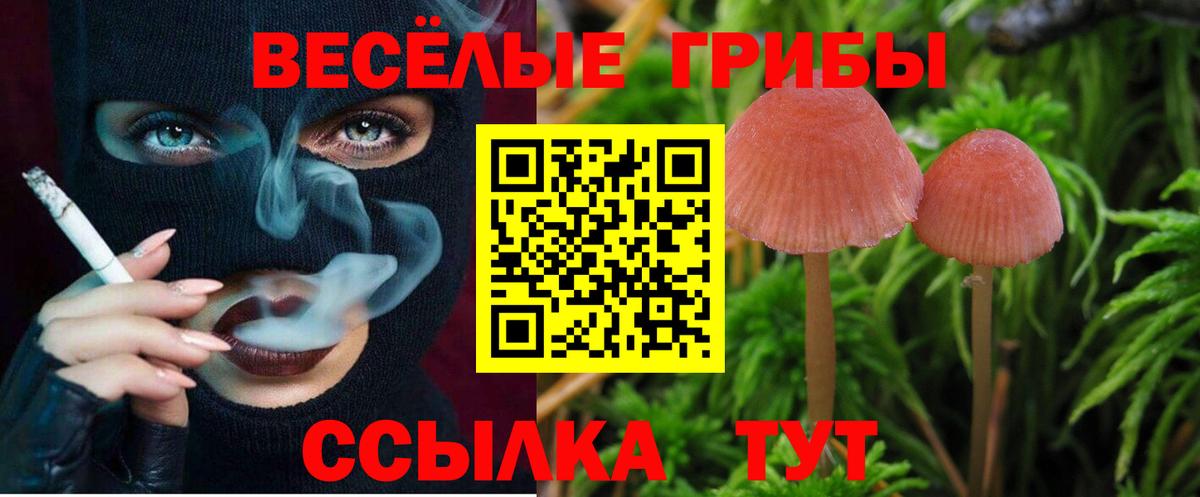 Белорецк  наркотики  Галлюциногенные грибы MAGIC MUSHROOMS  Вход с VPN  Псилоцибиновые грибы мухоморы 